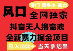 25年6月高爆抖音无人直播最新撸音浪掘金项目，解放双手小白可做，无脑日入1k+，门槛低【揭秘】-比钱轻创