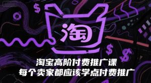 淘宝高阶付费推广课，每个卖家都应该学点付费推广-比钱轻创