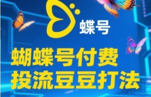 2025蝴蝶号付费投流豆豆打法，助新手快速掌握付费流量撬动自然流的核心玩法-比钱轻创