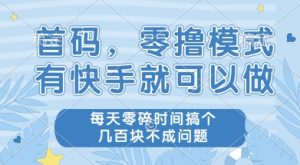 首码零撸项目，有快手就可以做，每天业务时间搞个几张不是问题【揭秘】-比钱轻创