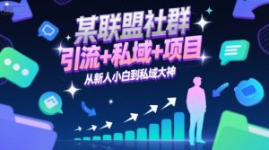 某联盟社群，引流+私域+项目，从新人小白到私域大神-比钱轻创