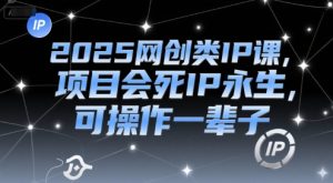 2025网创类IP课，项目会死IP永生，可操作一辈子-比钱轻创
