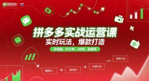 拼多多实战运营课，实时玩法，爆款打造，改销量，补大单，AB单，直播等（更新2025月）-比钱轻创