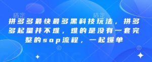 拼多多最快最多黑科技玩法，拼多多起量并不难，难的是没有一套完整的sop流程，一起爆单（更新6月）-比钱轻创