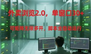 外卖浏览2.0，单窗口30+可矩阵无限多开，脚本全自动运行【揭秘】-比钱轻创
