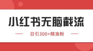 小红书截流同行客源,独家野路子获客玩法 日引200+暴力获客【揭秘】-比钱轻创