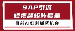 小红书某音sap赛道引流获客 自热矩阵日引200+【揭秘】-比钱轻创