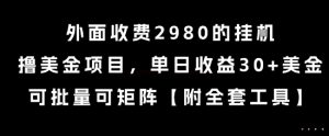 外面收费2980的挂G撸美金项目，单日收益30+美金，可批量可矩阵【揭秘】-比钱轻创