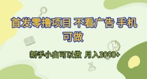 首发零撸项目 不看广告 手机可做 新手小白可以做  月入3k+【揭秘】-比钱轻创