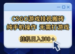 CSGO游戏挂G搬砖，小白纯手机即可操作，不用电脑打游戏，日入3张+，副业网创项目【揭秘】-比钱轻创