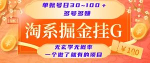 淘系掘金挂G项目，单账号日收益30~100+，多号多得，一个做了就有的项目【揭秘】-比钱轻创