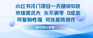 小红书冷门项目一天收益9张，市场需求大，0成本，可复制性强可以矩阵操作-比钱轻创