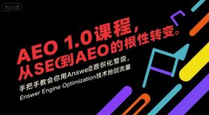 AEO 1.0 课程，从SEO到AE0的基命性转变，手把手教会你用AnswerEngineOptimization技术抢回流量-比钱轻创