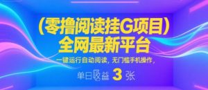 零撸阅读挂G项目，全网最新平台，一键运行自动阅读，无门槛手机操作，单日收益3张【揭秘】-比钱轻创