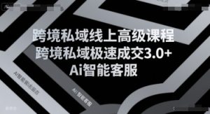 跨境私域线上高级课程，跨境私域极速成交3.0+Ai智能客服-比钱轻创