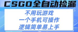CSGO自动捡漏项目,最新独家玩法,不用挂G不用玩游戏,一个手机即可操作,新手小白轻松月入1W+【揭秘】-比钱轻创