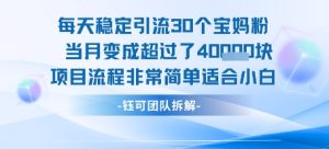 每天稳定引流30个人 当月变成超过了4个W项目流程非常简单适合小白-比钱轻创