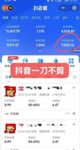 抖音短视频一刀不剪带货，不剪辑，不直播，每天发个视频，等着出单获取带货佣金-比钱轻创