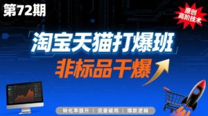 淘宝天猫打爆班原创高阶技术第72期，非标品干爆-比钱轻创