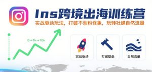 Ins跨境出海训练营，实战驱动玩法，打破不涨粉怪象，玩转社媒自然流量-比钱轻创
