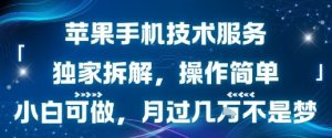 苹果手机技术服务，独家拆解，操作简单，小白可做，月过1W不是梦-比钱轻创