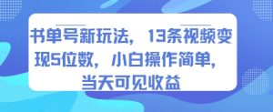 书单号新玩法，13条视频变现5位数，小白操作简单，当天可见收益-比钱轻创