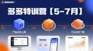 多多特训营【5-7月】产品决定上限，方法决定下限，各种玩法技巧落地实操-比钱轻创