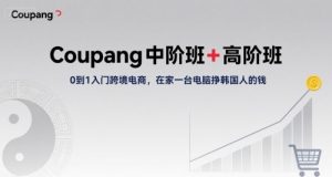Coupang中阶班+高阶班，0到1入门跨境电商，在家一台电脑挣韩国人的钱-比钱轻创