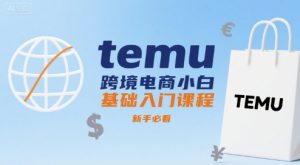 temu跨境电商小白基础入门课程，新手必看-比钱轻创