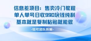 信息差项目：售卖冷门教程单人单号日收9张纯利基本就是复制粘贴就能做-比钱轻创