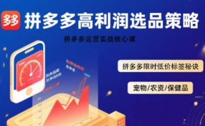 拼多多选品暴利技术实战课，拼多多高利润选品策略，拼多多限时低价标签秘诀-比钱轻创
