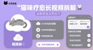 猫咪疗愈长视频拆解 &油管频道运营技巧-比钱轻创