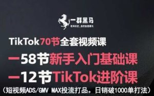 TikTok全套视频课，新手入门+进阶课，短视频ADS-GMV MAX投流打品，日销破1000单打法-比钱轻创