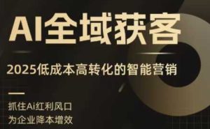 AI全域获客实训营，2025低成本高转化的智能营销，精准找客，高效营销-比钱轻创