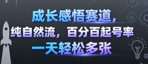成长感悟赛道,纯自然流,百分百起号率 一天轻松多张-比钱轻创