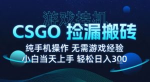 8月最新游戏搬砖，CSGO纯挂G，不需要玩游戏，实现真挂G，月入1W+【揭秘】-比钱轻创