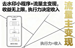 去水印小程序+流量主变现，收益无上限，执行力决定收入-比钱轻创