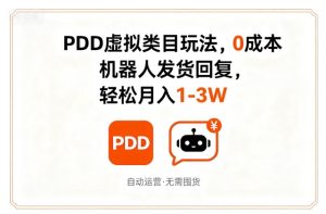 PDD虚拟类目玩法,0成本,机器人发货回复,轻松月入1-3W-比钱轻创