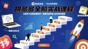 拼多多全阶实战课程，从新手小白到运营高手，海量实战玩法+全年实时更新【2025年9月更新】-比钱轻创