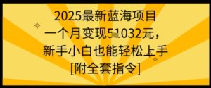 2025最新蓝海项目一个月变现1w+新手小白也能轻松上手【附全套指令】-比钱轻创