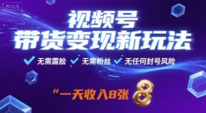 视频号带货变现新玩法，无需露脸，无需粉丝，无任何封号风险，一天收益8张【揭秘】-比钱轻创