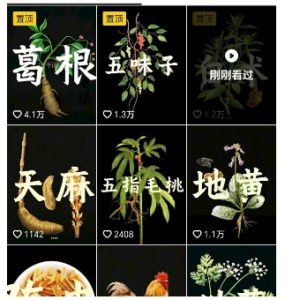 抖音中草药赛道，用AI做中草药故事视频，45条作品涨粉13W，橱窗带货猛猛出单-比钱轻创
