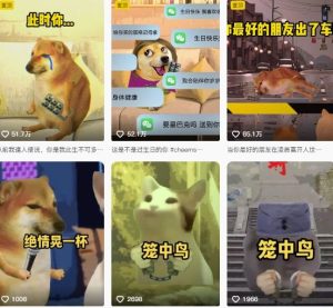 狗头幸运星UE5动画全套课程，从入门到实操全掌握-比钱轻创